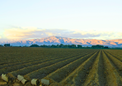 Salinas Valley